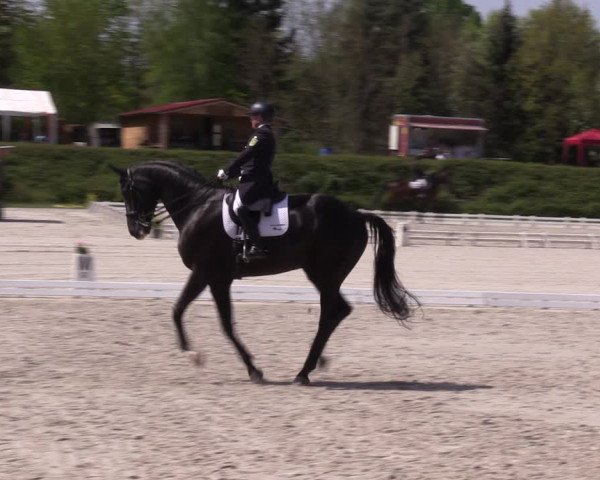 Reitturnier Pietzpuhl 2022