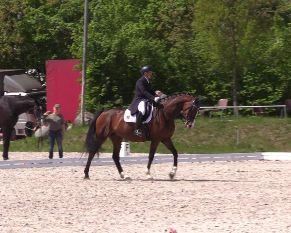 Reitturnier Pietzpuhl 2022