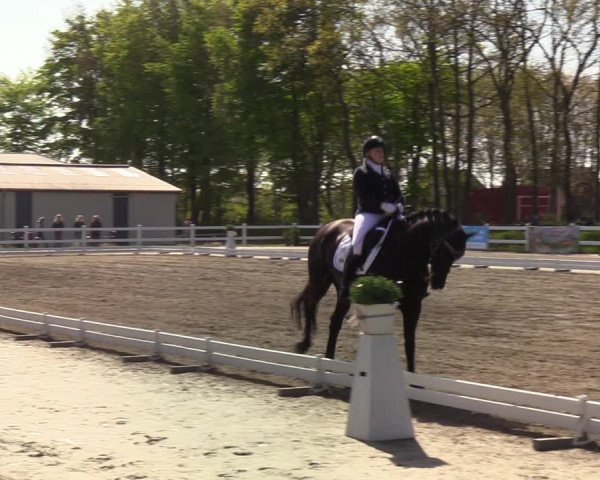 Reitturnier Mildstedt 2022