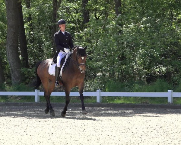 Reitturnier Meppen 2022