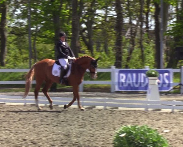 Reitturnier Mildstedt 2022