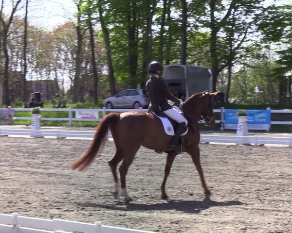Reitturnier Mildstedt 2022