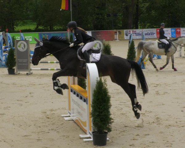 Reitturnier Karlsfeld 2022