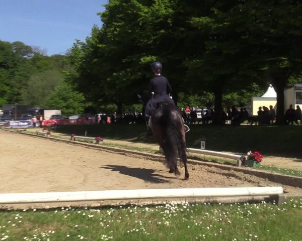 Reitturnier Dinslaken-Hiesfeld 2022