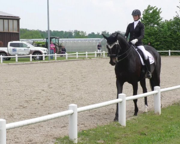 Reitturnier Bietigheim-Bissingen 2022