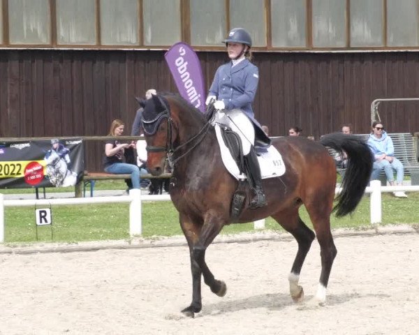 Reitturnier Bietigheim-Bissingen 2022