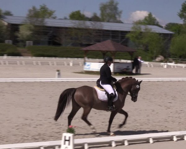 Reitturnier Pietzpuhl 2022