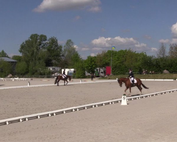 Reitturnier Pietzpuhl 2022