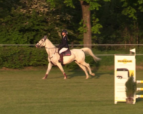 Reitturnier Jülich 2022