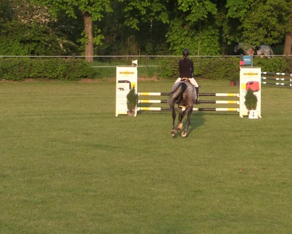 Reitturnier Jülich 2022