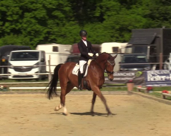 Reitturnier Dinslaken-Hiesfeld 2022