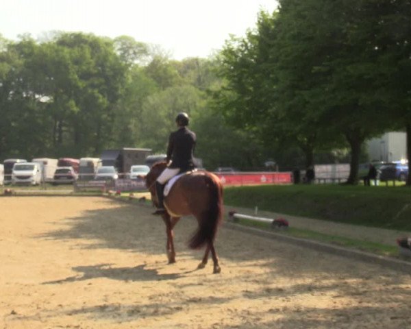 Reitturnier Dinslaken-Hiesfeld 2022