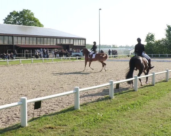 Reitturnier Bietigheim-Bissingen 2022