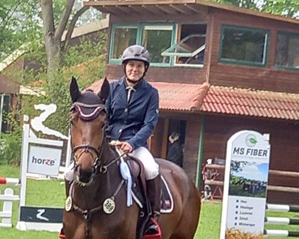 jumper Beck's Gold 5 (Hanoverian, 2017, from Bonaparte N AA)