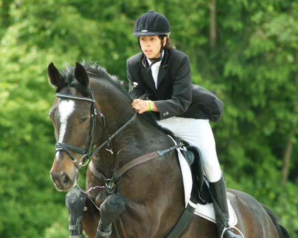 horse Merkur (Hungarian Warmblood, 2000, from Laurenz)