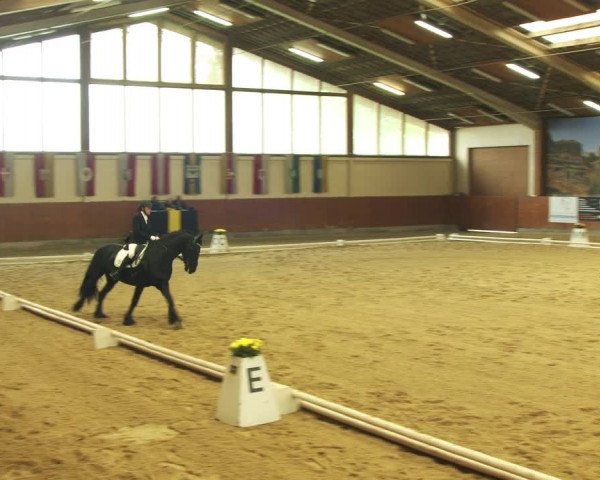 Reitturnier Weikersdorf am Steinfelde 2022