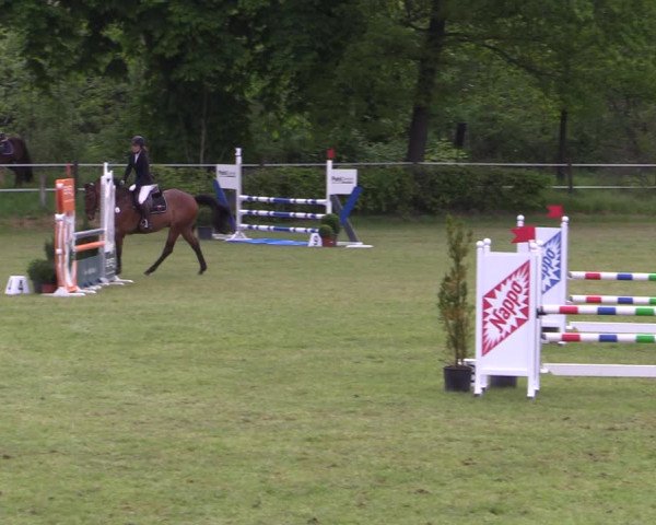 Reitturnier Jülich 2022