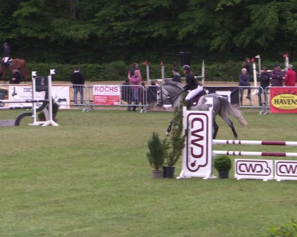 Reitturnier Jülich 2022