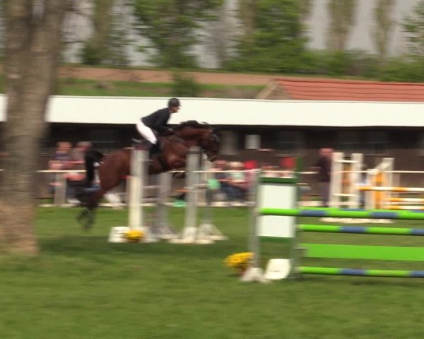 Reitturnier Derenburg 2022