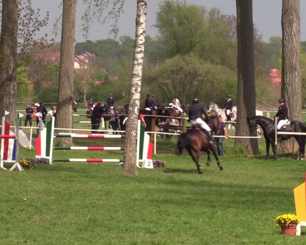 Reitturnier Derenburg 2022