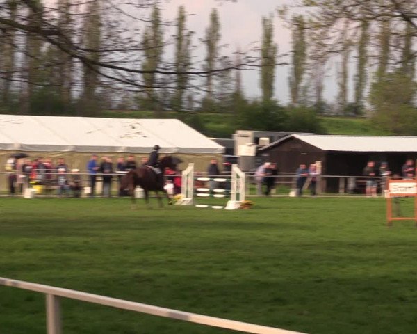Reitturnier Derenburg 2022