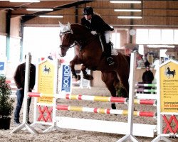 jumper Curley Sue 49 (Westphalian, 2008, from Check In 2)