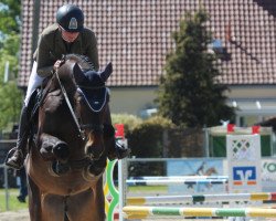 jumper Andrea 61 (Westphalian, 2018, from A La Carte NRW)