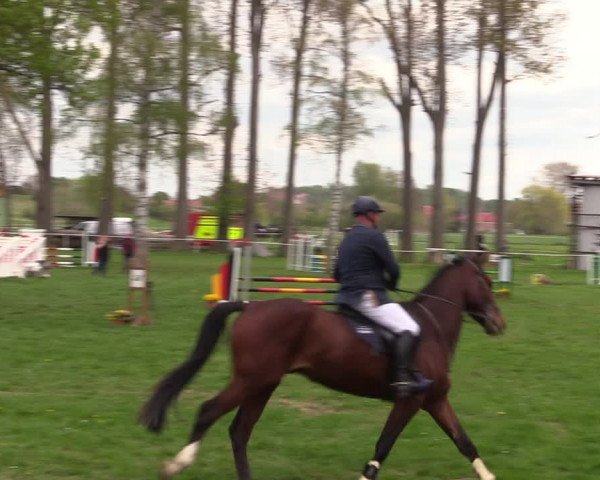Reitturnier Derenburg 2022