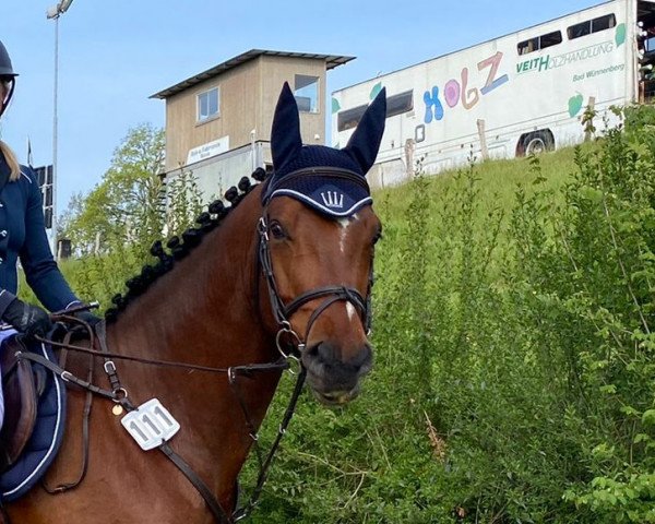 jumper Comanche 35 (Westphalian, 2017, from Cordess 2)