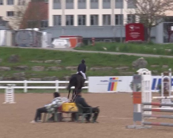 Reitturnier Kreuth/Opf. 2022