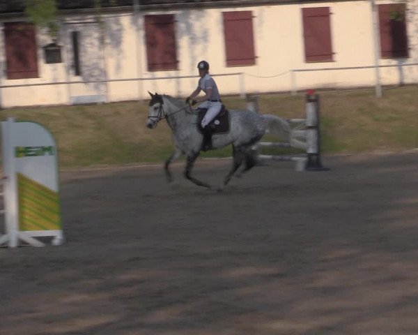 Reitturnier Lgl.-Oberhain, B95 2022