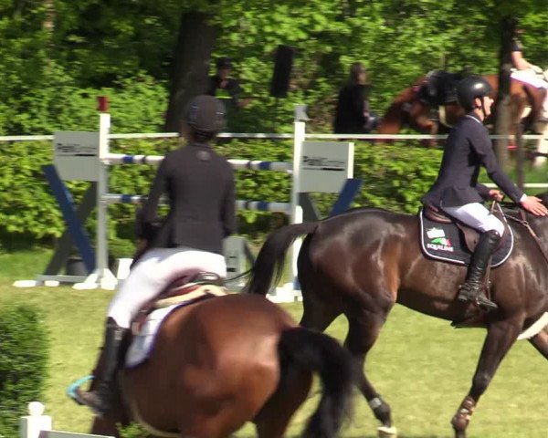 Reitturnier Jülich 2022