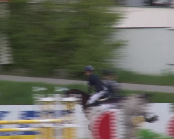 Reitturnier Kreuth/Opf. 2022