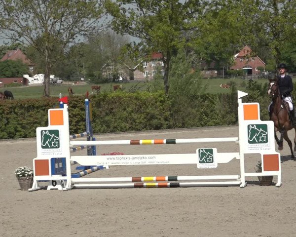 Reitturnier Lemwerder 2022