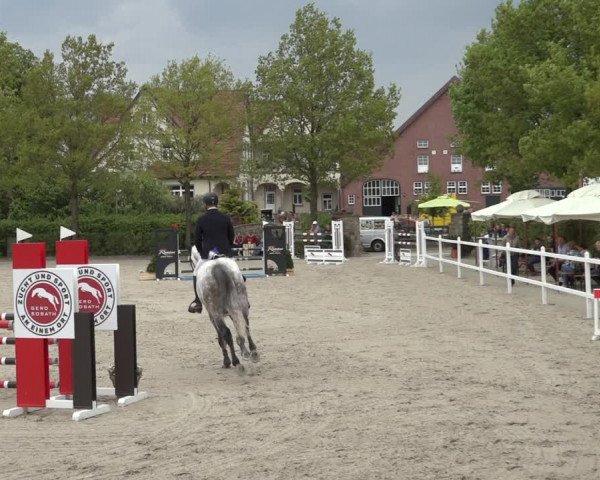 Reitturnier Lemwerder 2022
