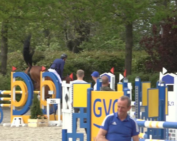 Reitturnier Lemwerder 2022