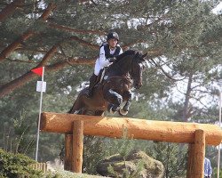 jumper Leopin FST (Sachse, 1999, from Legal Legend xx)