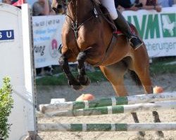 jumper Liene S (Oldenburg, 2000, from Lancado)