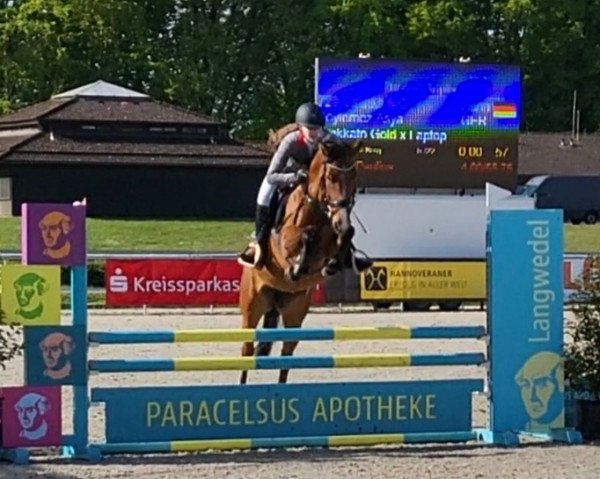 jumper Satinka Mg (Hanoverian, 2017, from Stakkato Gold)