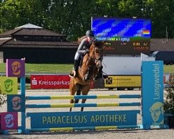 jumper Satinka Mg (Hanoverian, 2017, from Stakkato Gold)