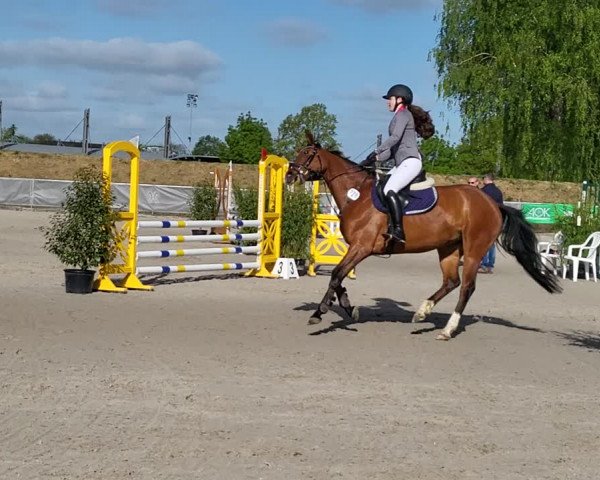 Video von Satinka Mg