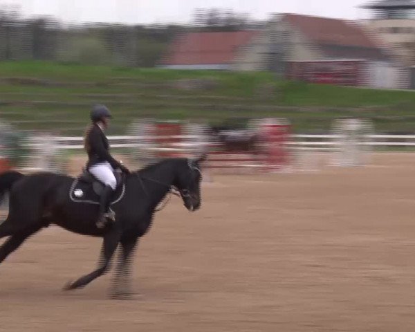 Reitturnier Kreuth/Opf. 2022