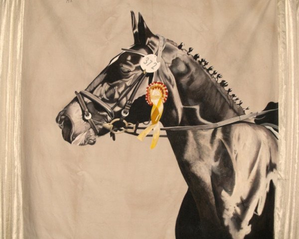 Pferd Mirza (Hannoveraner, 1993, von Matcho AA)
