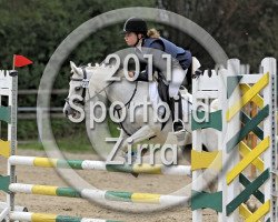 Pferd Naomi 233 (Deutsches Reitpony, 2001)