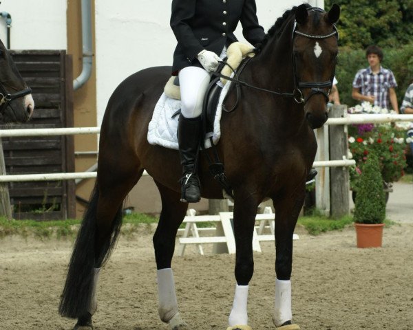 dressage horse Romy de Luxe (Westphalian, 2003, from Rockwell)