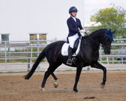 broodmare Glücksfee 75 (Oldenburg, 2013, from Don Juan de Hus)
