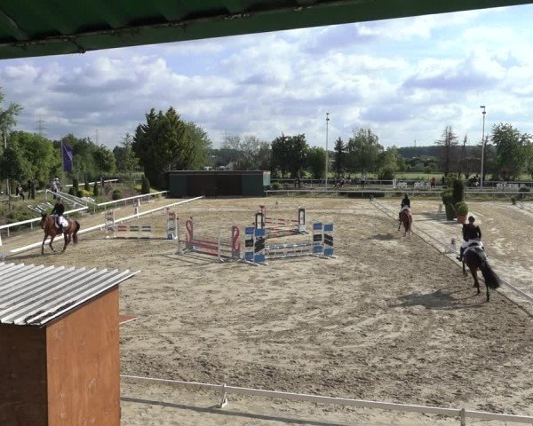 Reitturnier Bornheim-Widdig 2022