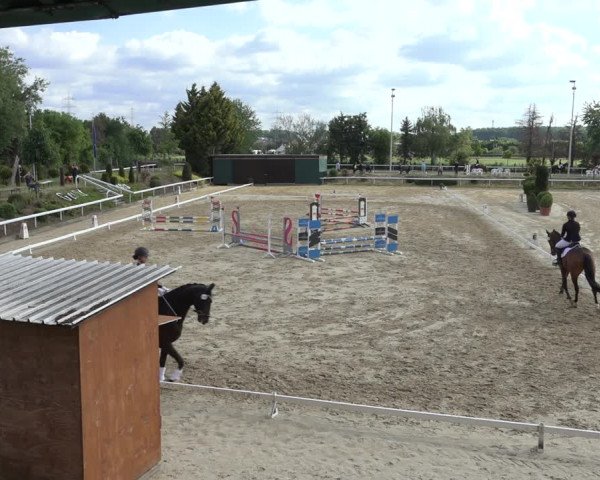 Reitturnier Bornheim-Widdig 2022