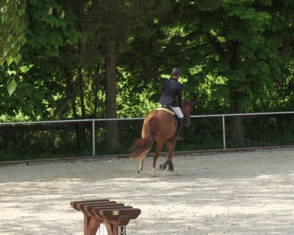 Reitturnier Karlsfeld/Obb. 2022