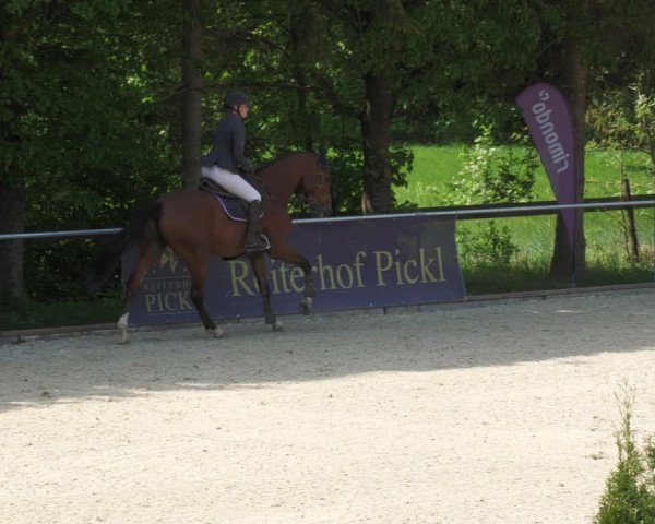 Reitturnier Karlsfeld/Obb. 2022